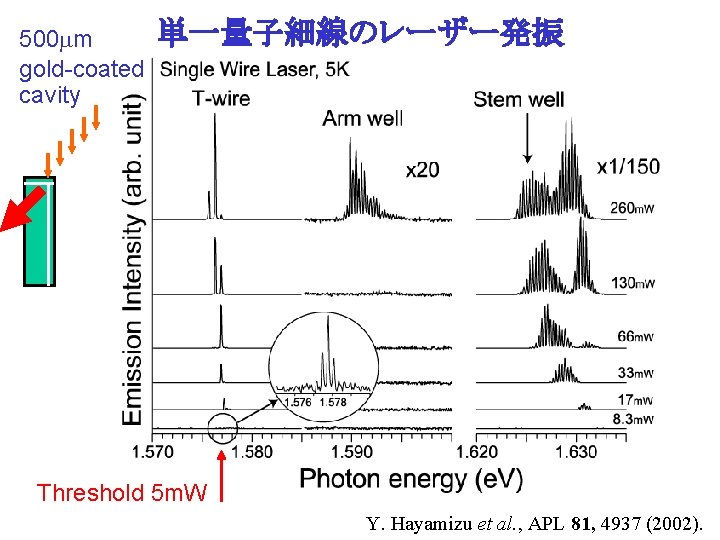 500 mm gold-coated cavity 単一量子細線のレーザー発振 Threshold 5 m. W Y. Hayamizu et al. ,