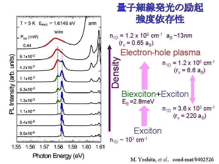 量子細線発光の励起 強度依存性 Density n 1 D = 1. 2 x 106 cm-1 a. B