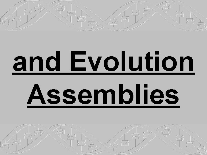 and Evolution Assemblies 