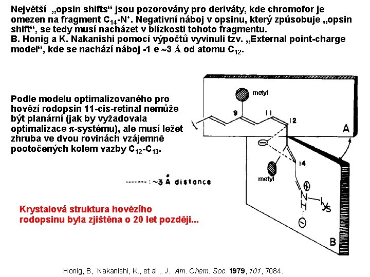 Největší „opsin shifts“ jsou pozorovány pro deriváty, kde chromofor je omezen na fragment C