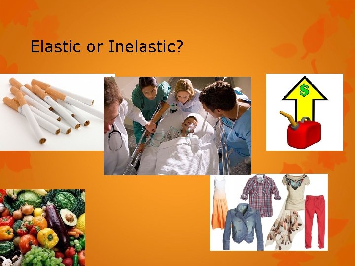 Elastic or Inelastic? 