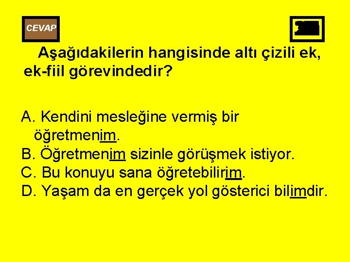 CEVAP 25 26 27 28 29 30 10 11 12 13 14 15 16