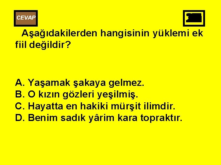 CEVAP 25 26 27 28 29 30 10 11 12 13 14 15 16