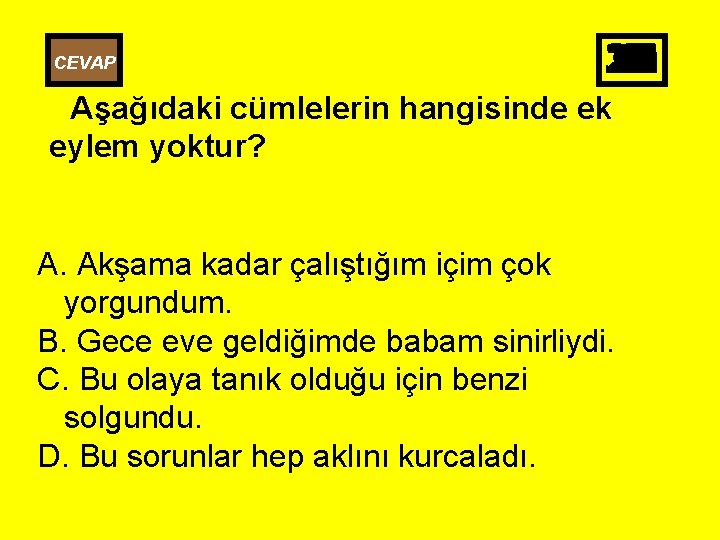CEVAP 25 26 27 28 29 30 10 11 12 13 14 15 16