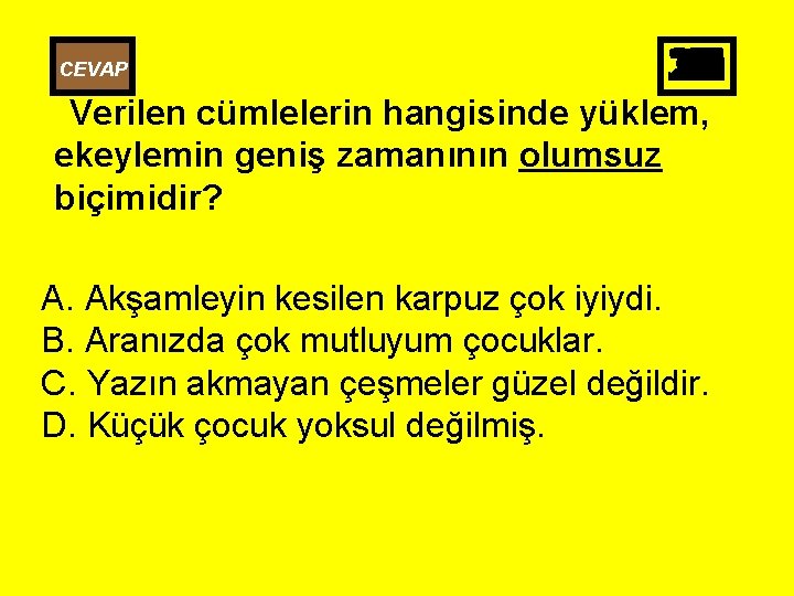 CEVAP 25 26 27 28 29 30 10 11 12 13 14 15 16