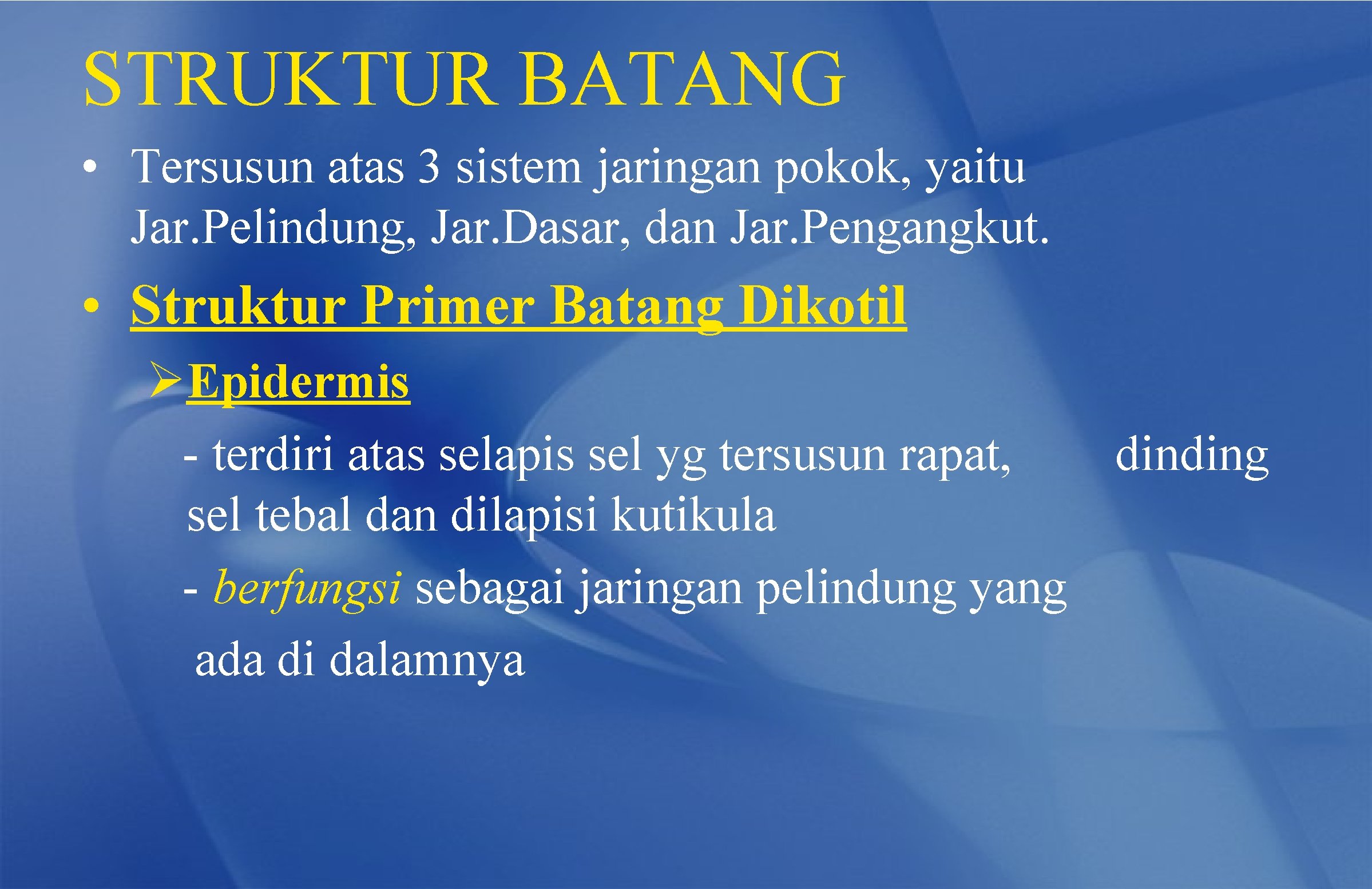 STRUKTUR BATANG • Tersusun atas 3 sistem jaringan pokok, yaitu Jar. Pelindung, Jar. Dasar,