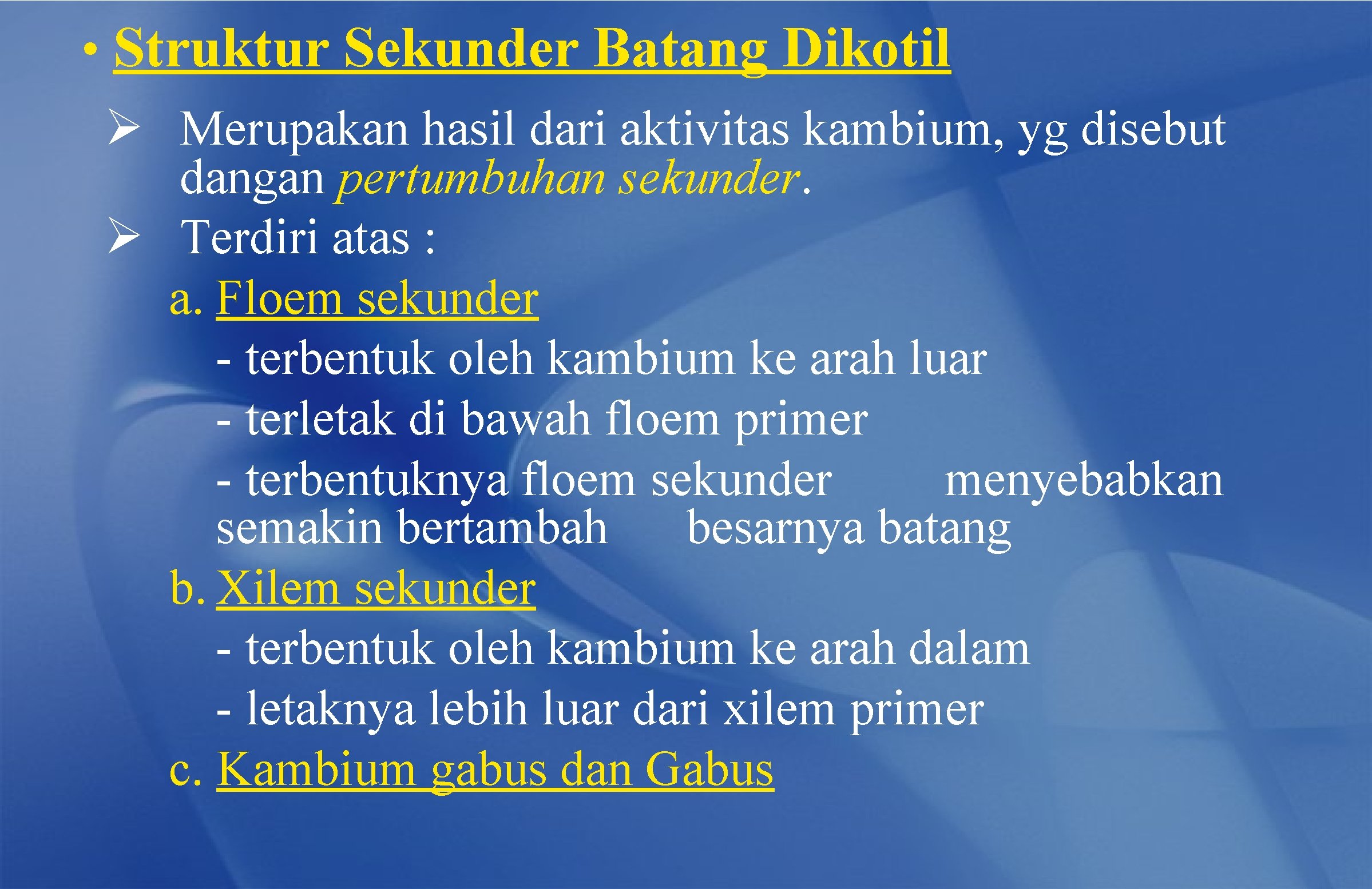  • Struktur Sekunder Batang Dikotil Ø Merupakan hasil dari aktivitas kambium, yg disebut