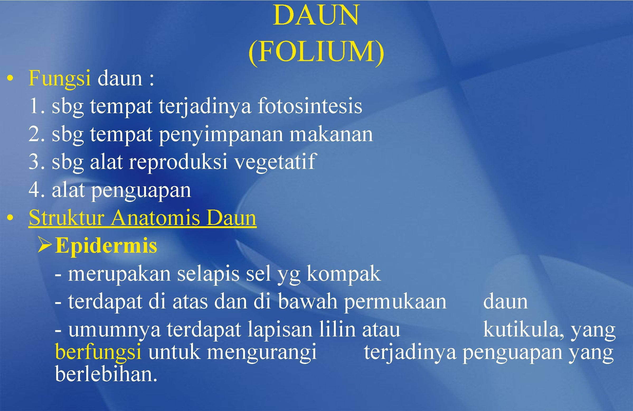 DAUN (FOLIUM) • Fungsi daun : 1. sbg tempat terjadinya fotosintesis 2. sbg tempat