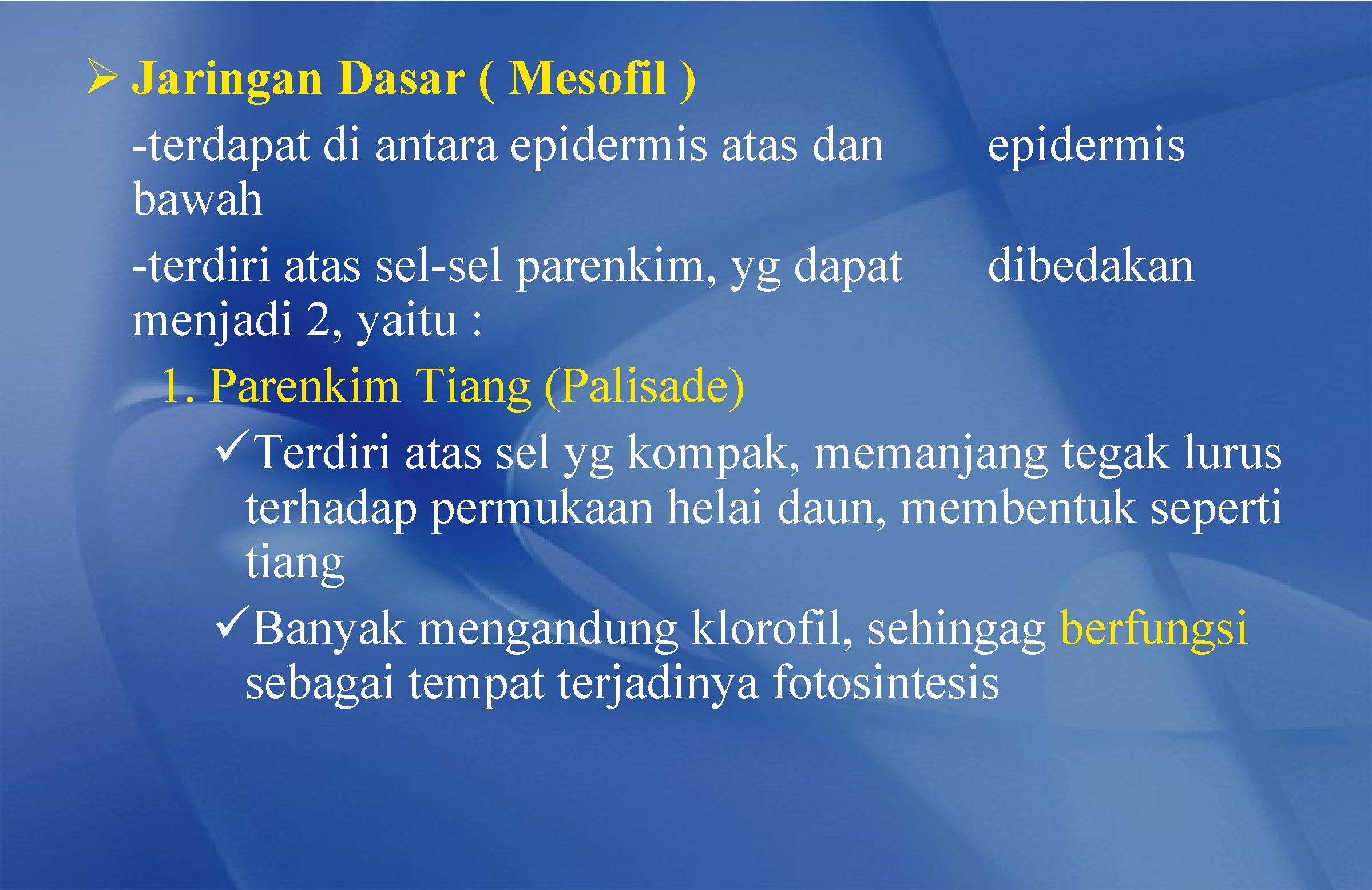Ø Jaringan Dasar ( Mesofil ) -terdapat di antara epidermis atas dan epidermis bawah