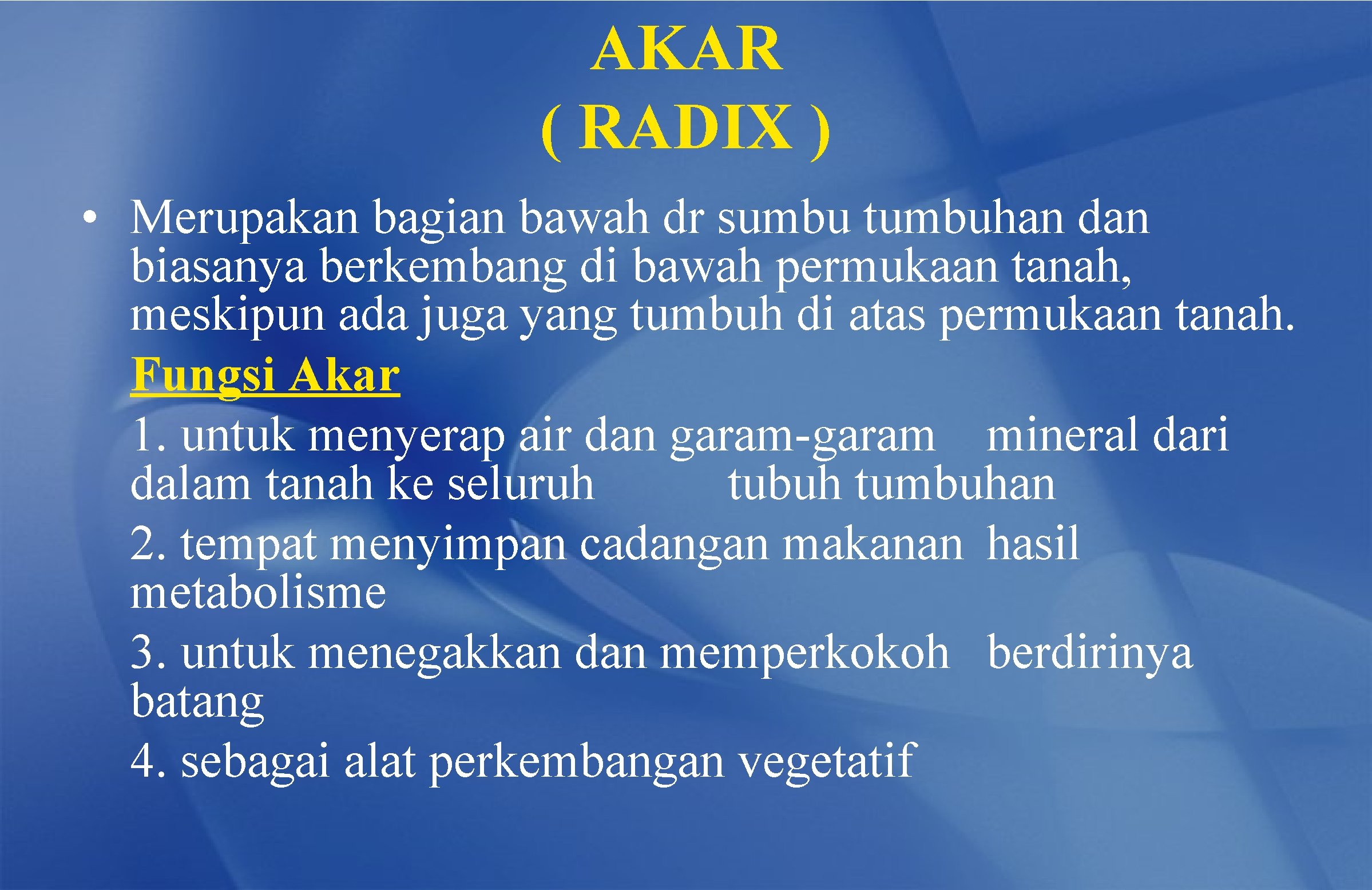 AKAR ( RADIX ) • Merupakan bagian bawah dr sumbu tumbuhan dan biasanya berkembang