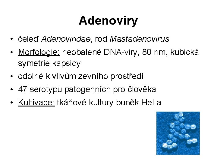 Adenoviry • čeleď Adenoviridae, rod Mastadenovirus • Morfologie: neobalené DNA-viry, 80 nm, kubická symetrie
