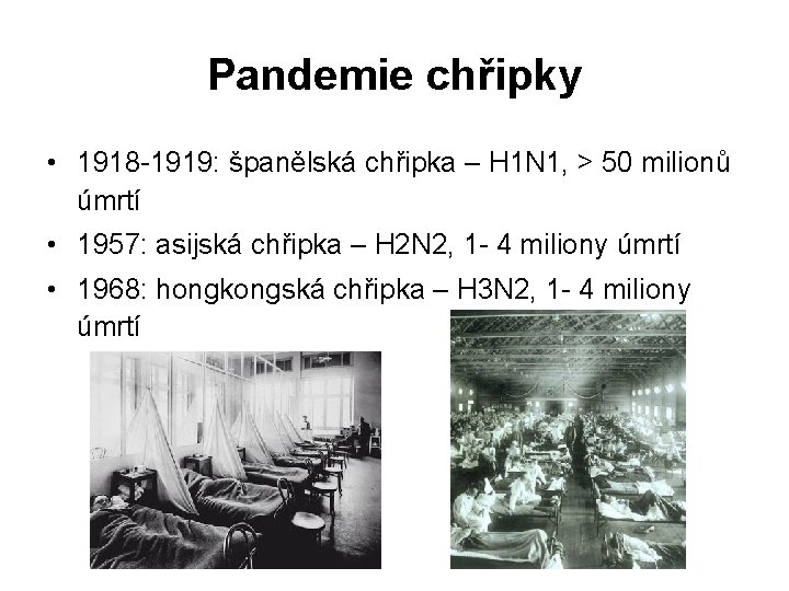 Pandemie chřipky • 1918 -1919: španělská chřipka – H 1 N 1, > 50