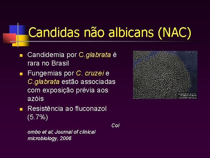 Candidas não albicans (NAC) n n n Candidemia por C. glabrata é rara no