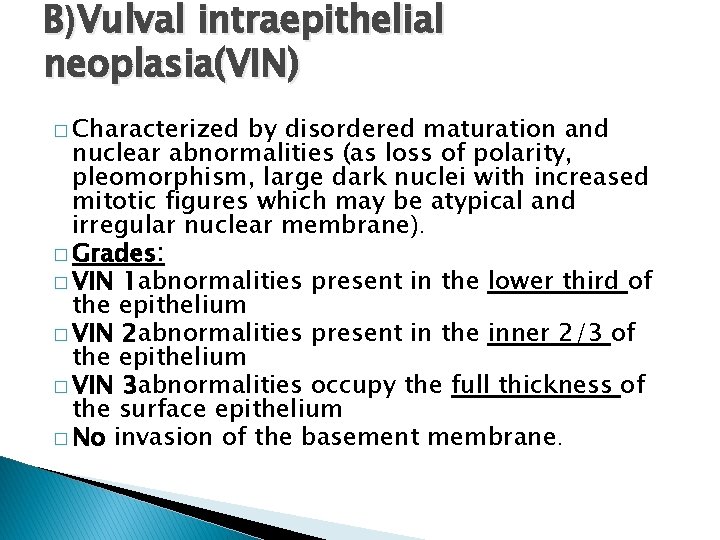 B)Vulval intraepithelial neoplasia(VIN) � Characterized by disordered maturation and nuclear abnormalities (as loss of
