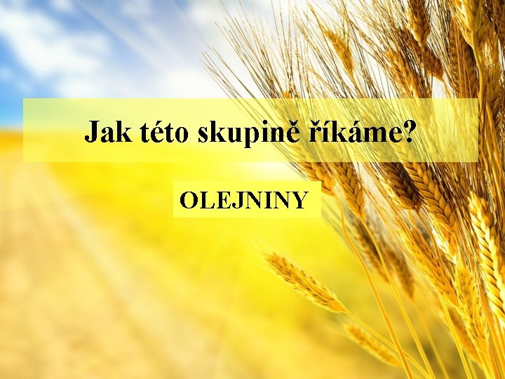 Jak této skupině říkáme? OLEJNINY 