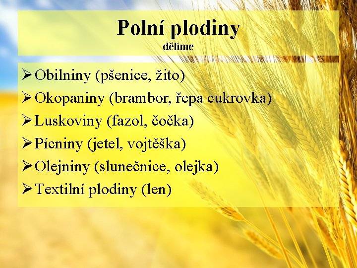 Polní plodiny dělíme Ø Obilniny (pšenice, žito) Ø Okopaniny (brambor, řepa cukrovka) Ø Luskoviny