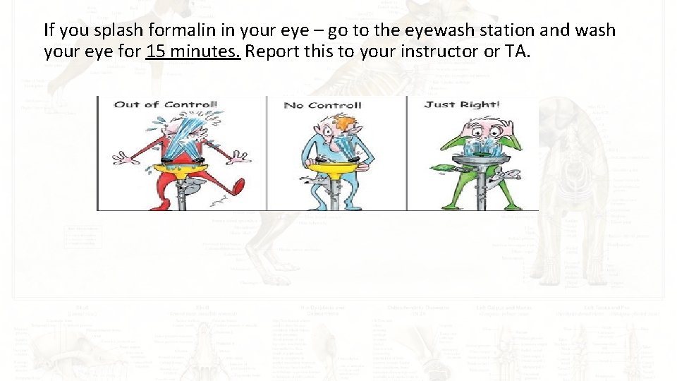 If you splash formalin in your eye – go to the eyewash station and