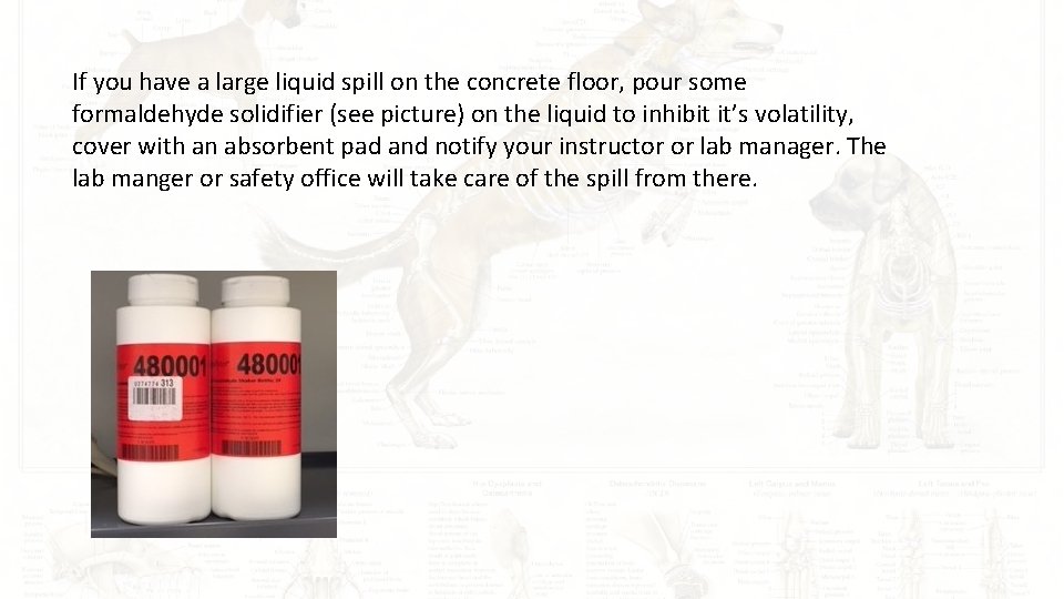 If you have a large liquid spill on the concrete floor, pour some formaldehyde
