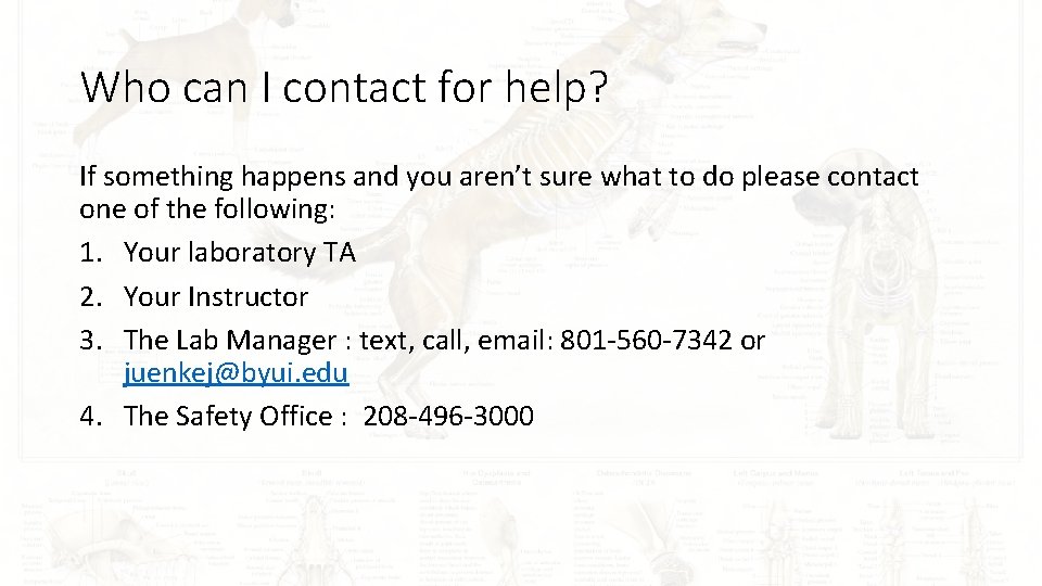 Who can I contact for help? If something happens and you aren’t sure what