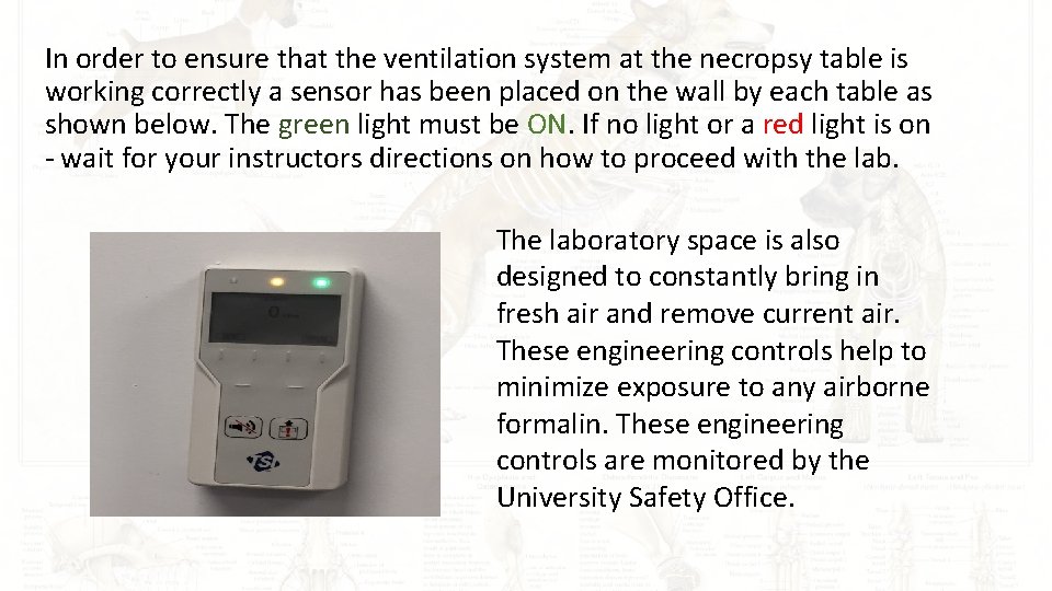 In order to ensure that the ventilation system at the necropsy table is working