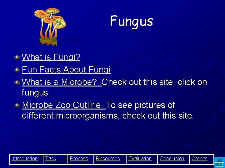 Fungus What is Fungi? Fun Facts About Fungi What is a Microbe? Check out