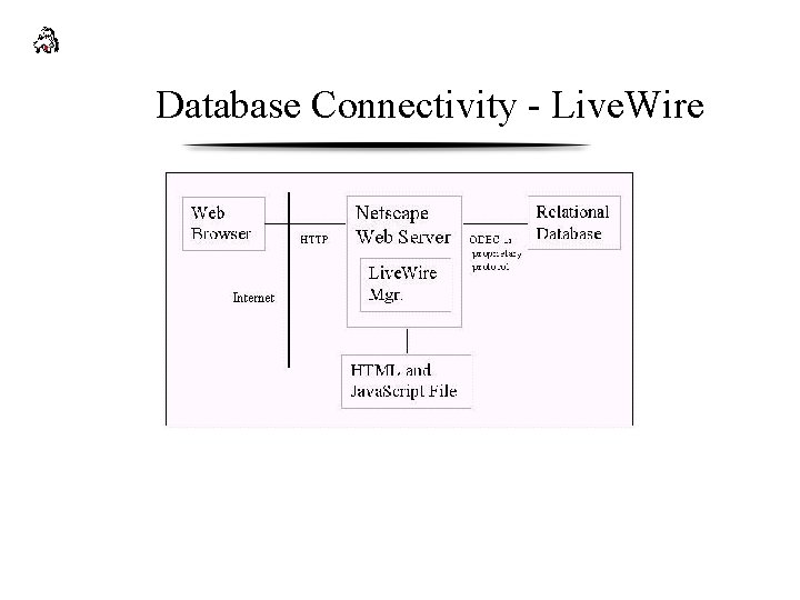 Database Connectivity - Live. Wire 