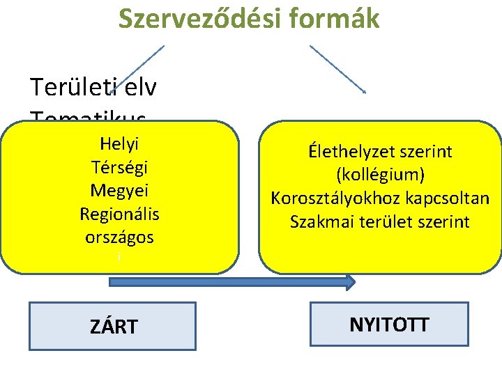  Szerveződési formák Területi elv Tematikus Helyi Térségi Megyei Regionális országos Élethelyzet szerint (kollégium)