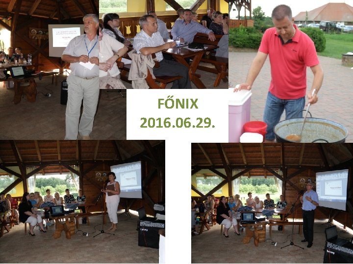 FŐNIX 2016. 06. 29. 