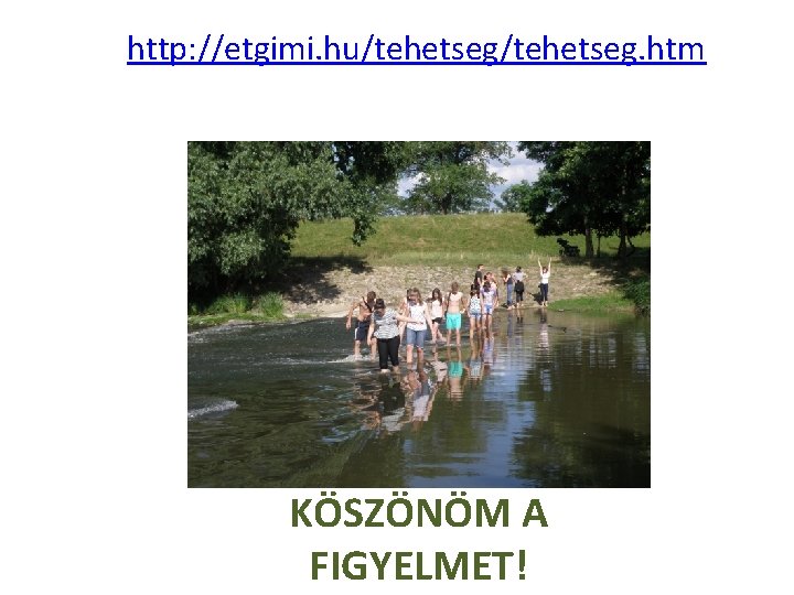 http: //etgimi. hu/tehetseg. htm KÖSZÖNÖM A FIGYELMET! 