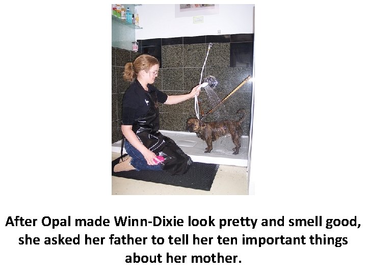 After Opal made Winn-Dixie look pretty and smell good, she asked her father to