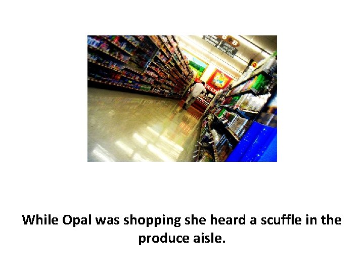 While Opal was shopping she heard a scuffle in the produce aisle. 