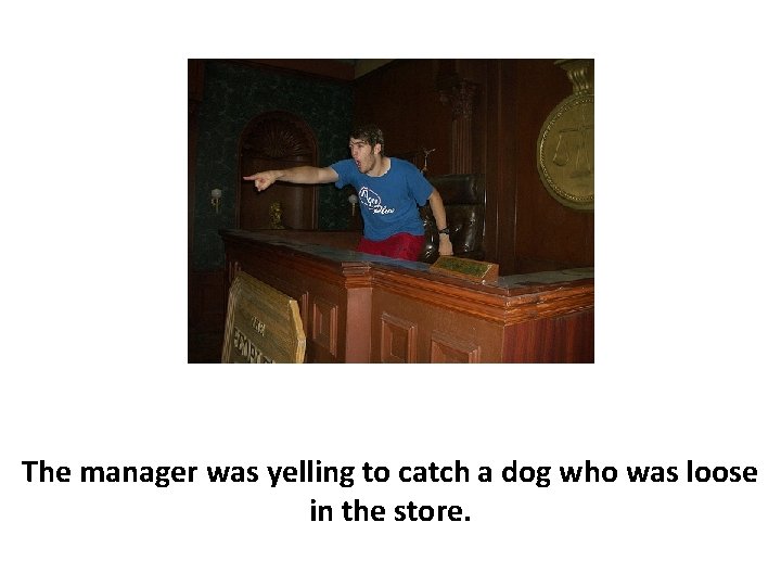 The manager was yelling to catch a dog who was loose in the store.