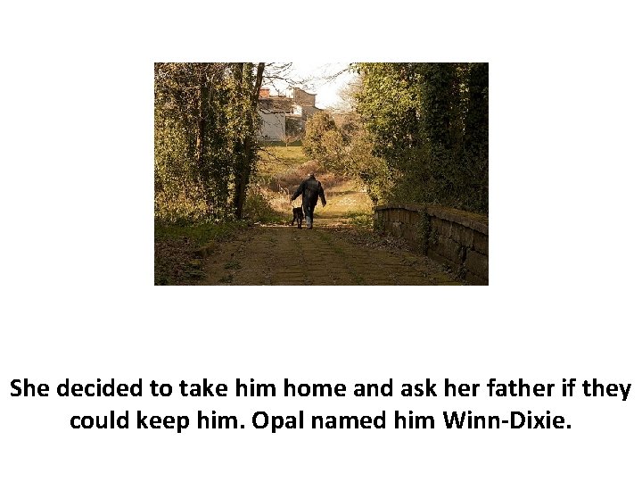 She decided to take him home and ask her father if they could keep