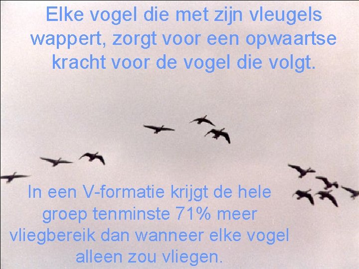 Elke vogel die met zijn vleugels wappert, zorgt voor een opwaartse kracht voor de