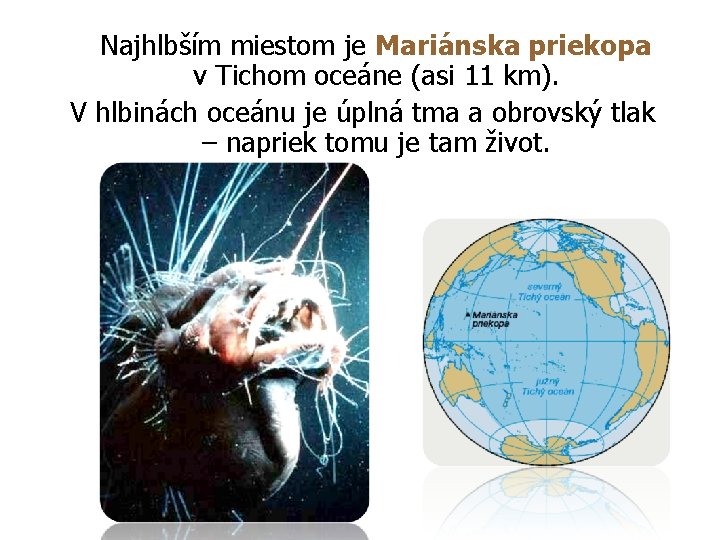 Najhlbším miestom je Mariánska priekopa v Tichom oceáne (asi 11 km). V hlbinách oceánu