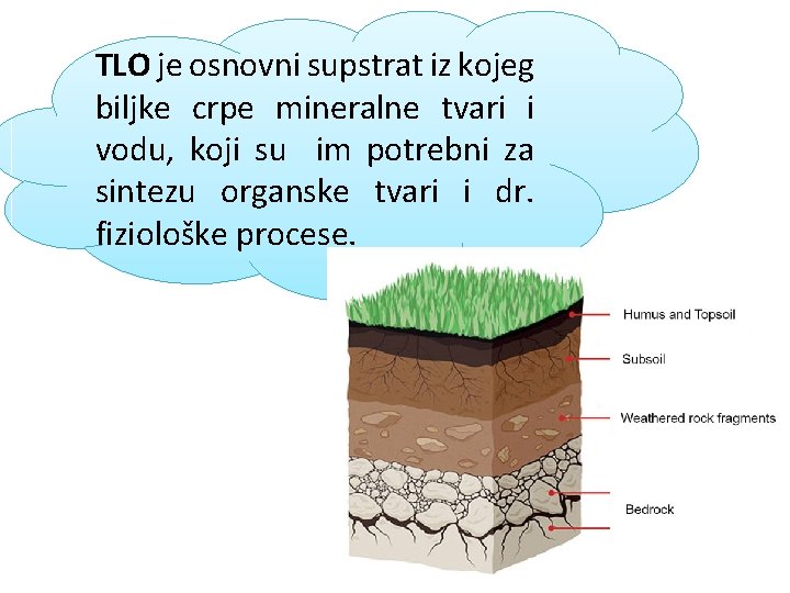 TLO je osnovni supstrat iz kojeg biljke crpe mineralne tvari i vodu, koji su