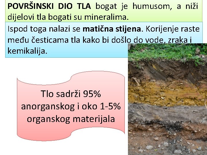 POVRŠINSKI DIO TLA bogat je humusom, a niži dijelovi tla bogati su mineralima. Ispod