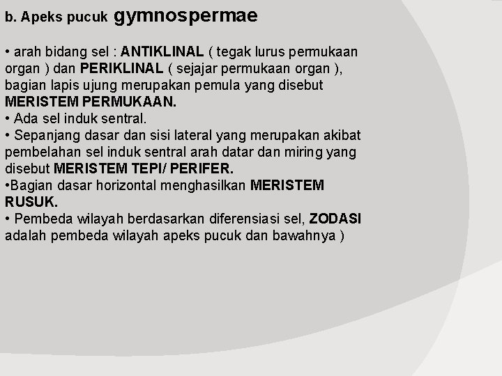 b. Apeks pucuk gymnospermae • arah bidang sel : ANTIKLINAL ( tegak lurus permukaan