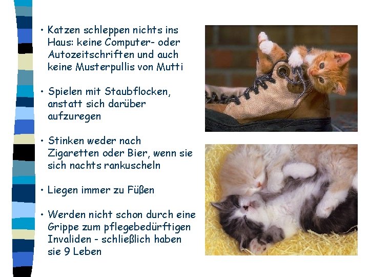  • Katzen schleppen nichts ins Haus: keine Computer- oder Autozeitschriften und auch keine