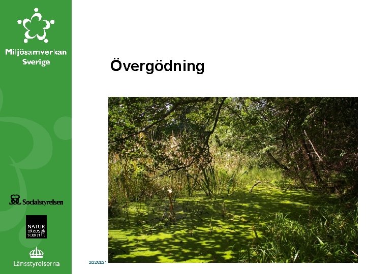 Övergödning 2/22/2021 