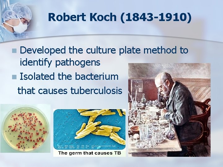 Robert Koch (1843 -1910) Developed the culture plate method to identify pathogens n Isolated
