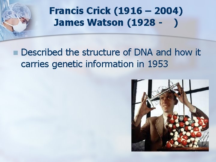 Francis Crick (1916 – 2004) James Watson (1928 - ) n Described the structure