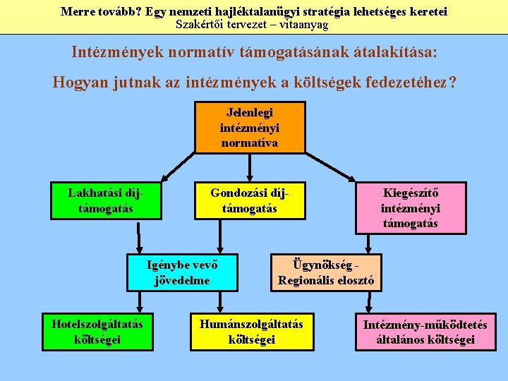 Merre tovább? Egy nemzeti hajléktalanügyi stratégia lehetséges keretei Szakértői tervezet – vitaanyag Intézmények normatív