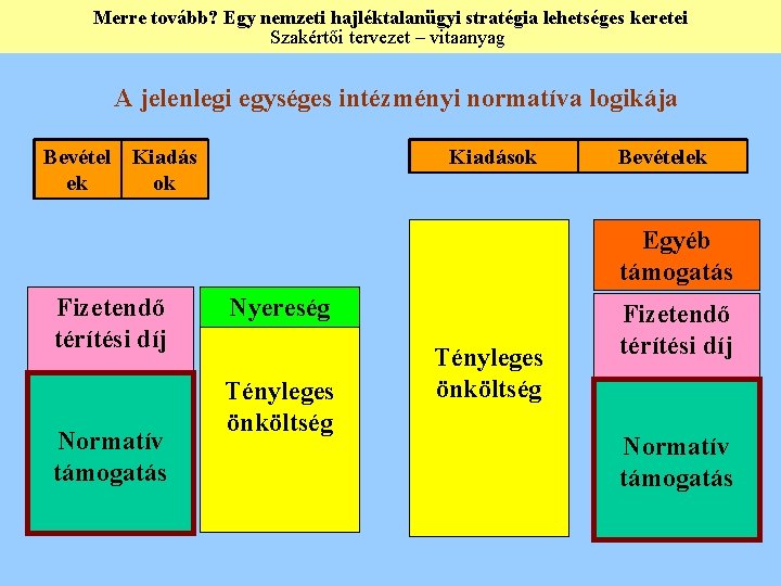 Merre tovább? Egy nemzeti hajléktalanügyi stratégia lehetséges keretei Szakértői tervezet – vitaanyag A jelenlegi