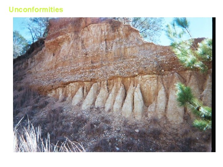 Unconformities Calvert Bluff / Alluvium Contact (Field Trip 1) 