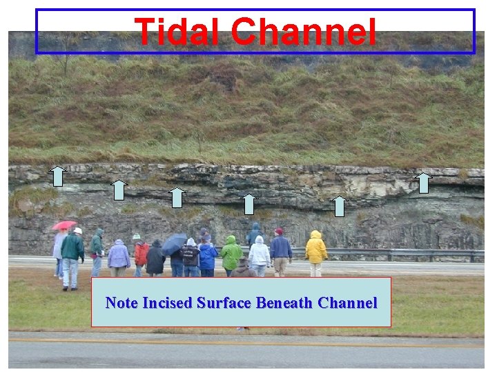Tidal Channel Note Incised Surface Beneath Channel 