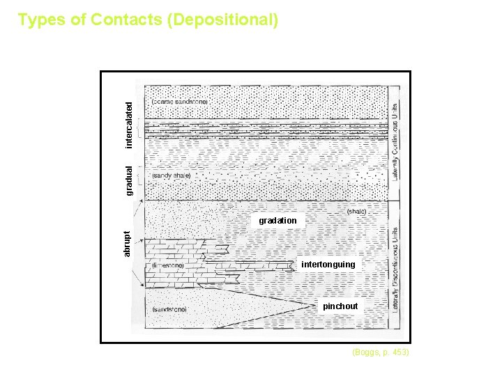 Types of Contacts (Depositional) intercalated gradual gradation abrupt Vertical Contacts Lateral Contacts intertonguing pinchout