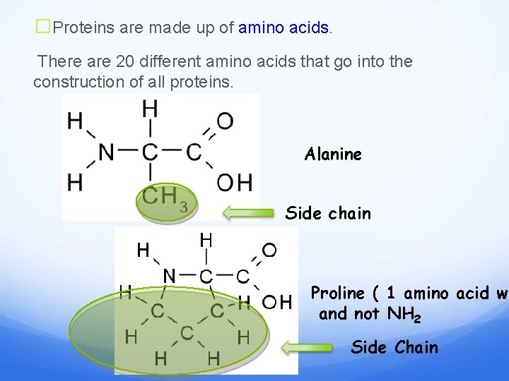 �Proteins are made up of amino acids. There are 20 different amino acids that