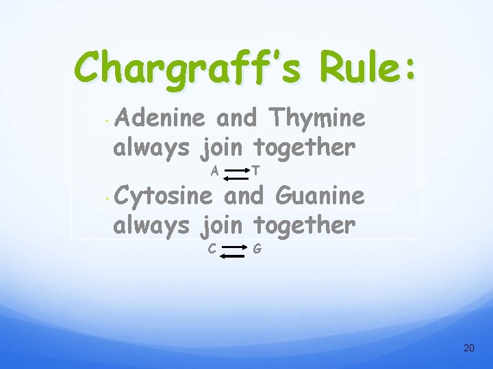 Chargraff’s Rule: • • Adenine and Thymine always join together A T C G