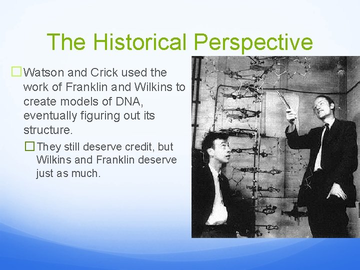 The Historical Perspective �Watson and Crick used the work of Franklin and Wilkins to